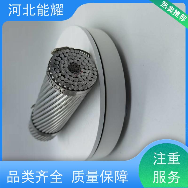  抗电化学腐蚀 2xJNRLH58/G1A-210/10 钢芯耐热铝合金绞线 支持出口