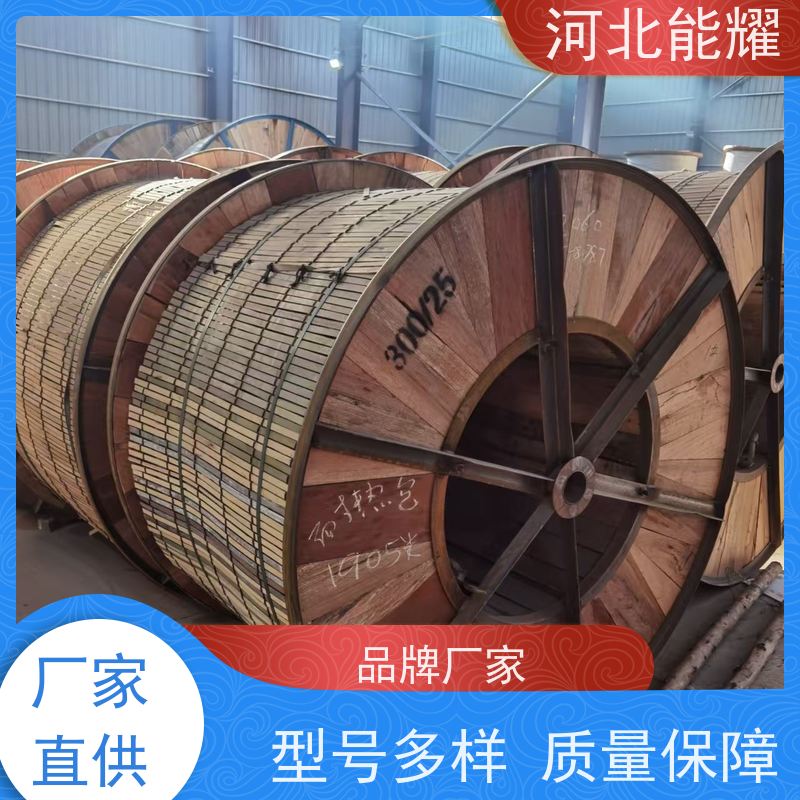  耐雾蚀能力 NRLHGJQ-95/55 耐热铝合金钢芯导线 规格齐全