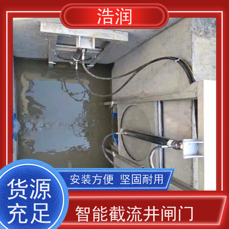 浩润 手电两用启闭机闸门 防腐性强 结构合理 长期供应