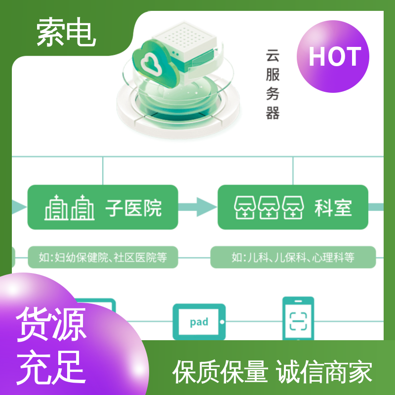 专业的诊断 量表标准化 分析 儿童保健管理工作站 索电