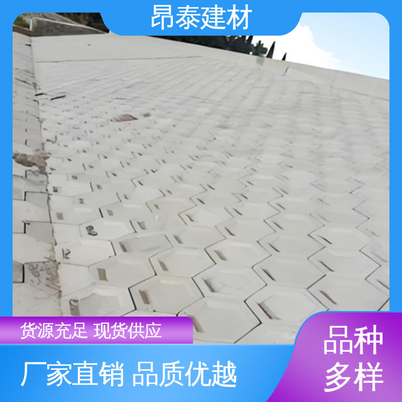 结构稳定 防腐性能高 六角护坡砖 仿花岗岩砖 源头工厂