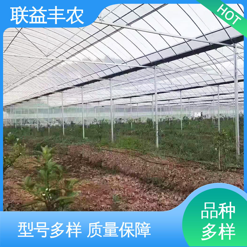 图6