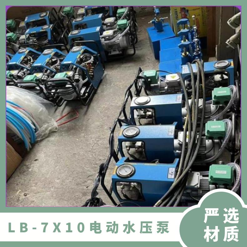 LB-7X10硫化机用电动水压泵 多功能全自动不锈钢 维护简单