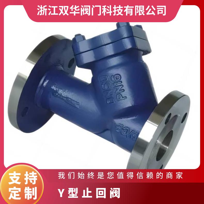 304不锈钢Y型止回阀 内螺纹弹簧单向逆止阀防污隔断软密封耐高温