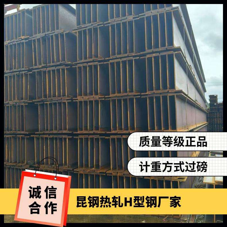 国标 过磅 正品 可深加工 材质Q235/355 规格齐全 12米 热轧H型钢
