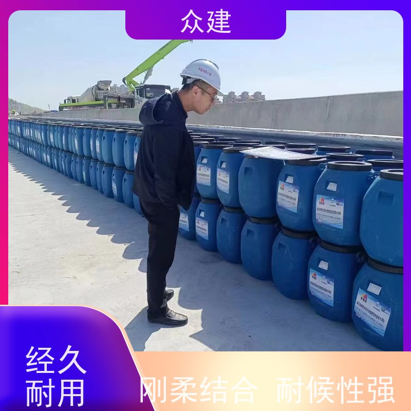 艺佰涂 新配方 1吨FYT-I改进型桥面防水涂料 复合防腐 含税