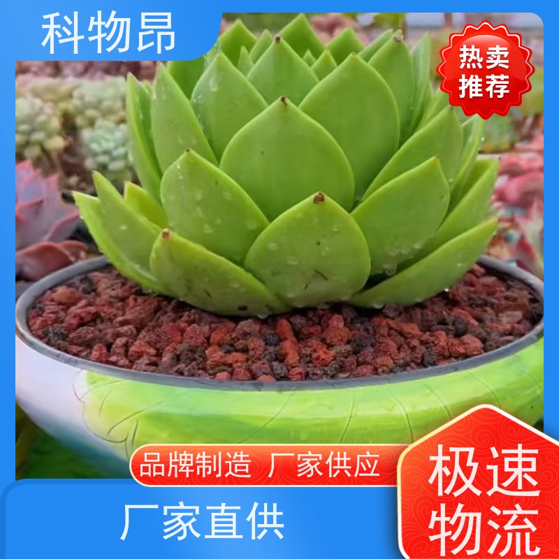 科物昂 水族 火山岩香薰石香料精油载体 颜色黑、红 接受代发