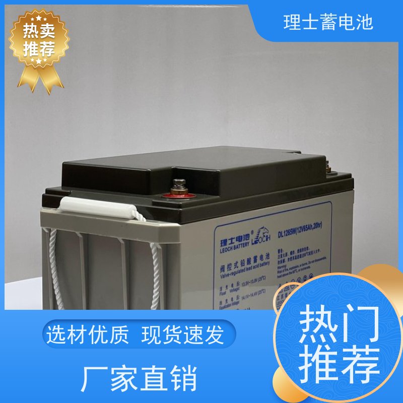 理士蓄电池厂 12V100AH 数据机房ups直流屏EPS备用电源 安装维护保养