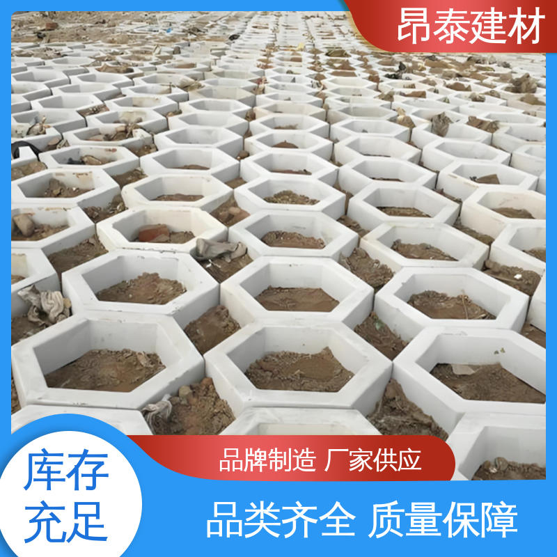 实力商家 壁厚5cm 六角护坡砖 适用范围广 库存充足发货快