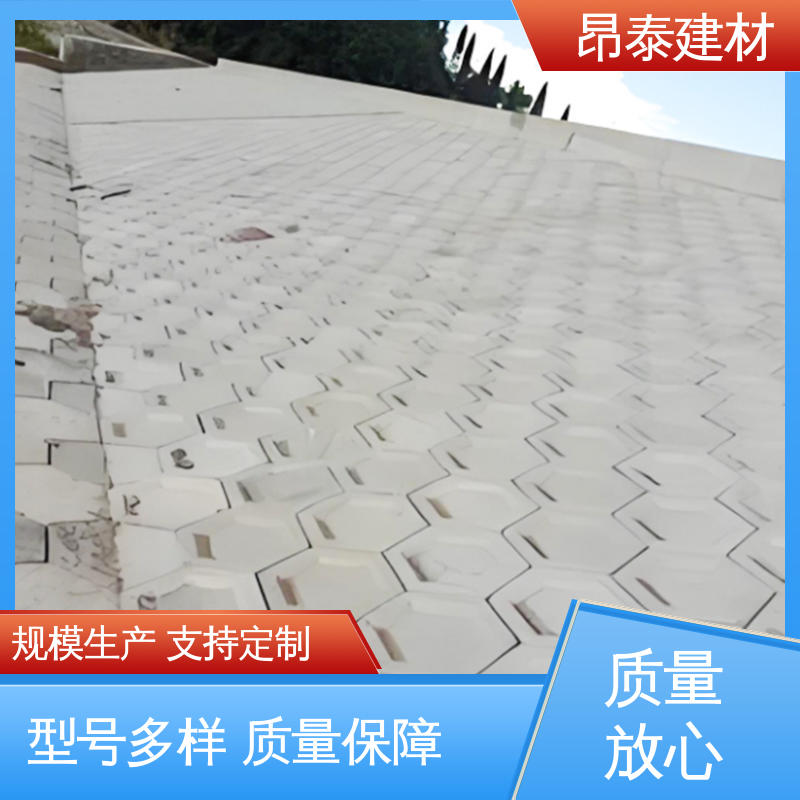 实力商家 售后可靠 六棱护坡砖 抗渗漏性强 混泥土实心砖