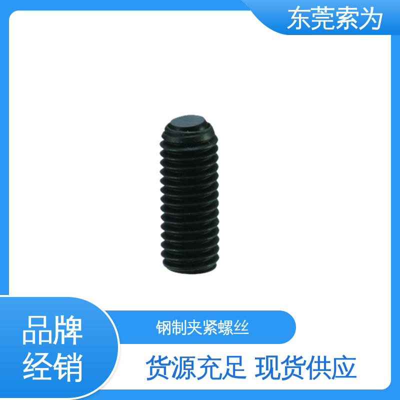 供应 SCS-FB 夹紧螺丝 四氧化三铁保护膜 带防反转结构