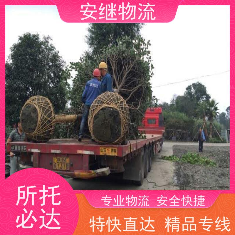 绍兴 上虞 诸暨到泉州物流公司 零担整车运输 特快专线直达 