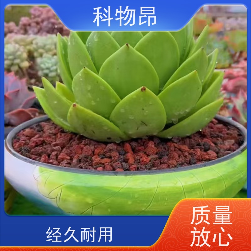 科物昂 园林 火山岩水族铺底石鱼缸鱼池水 重量可选 合法开采