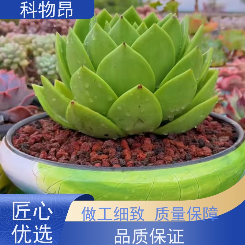 科物昂 绿化 火山岩涂料添加材料 重量可选 品质稳定