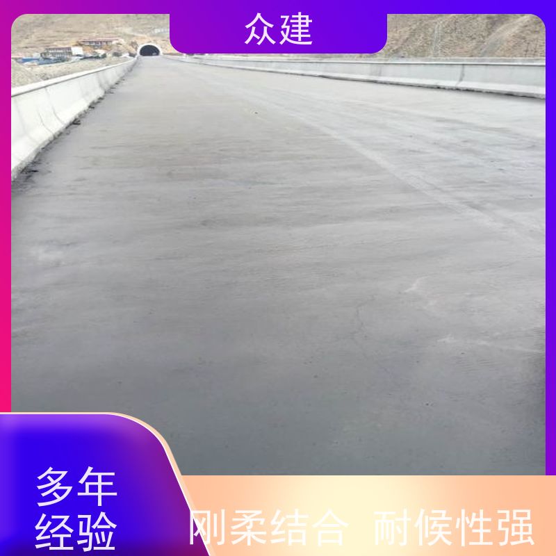 艺佰涂 新配方 FYT-I改进型桥面防水层 复合防腐 成膜效果快