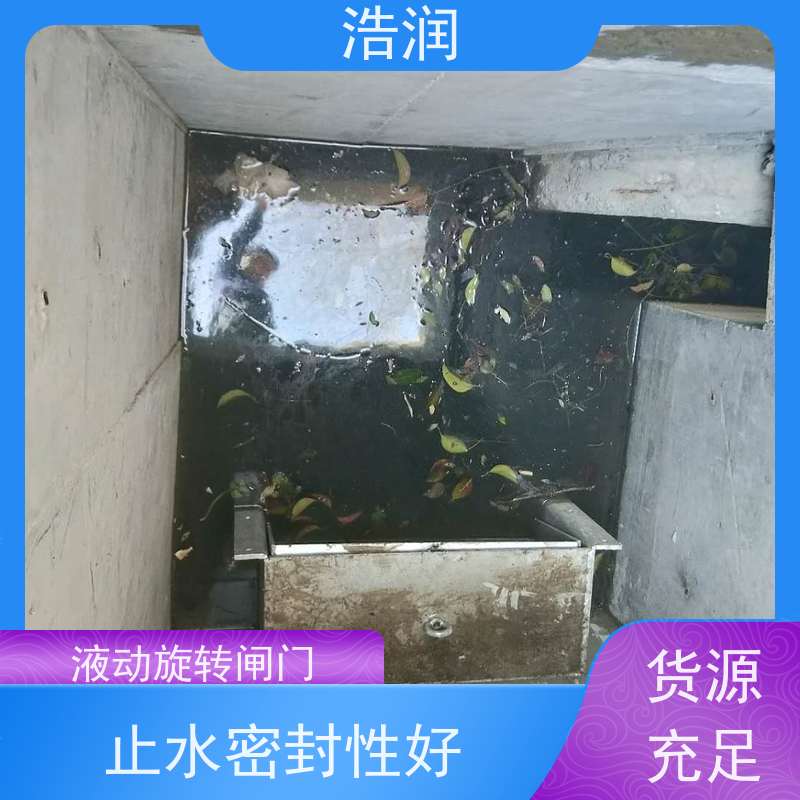 浩润 不锈钢旋转闸门 结构稳固 抗压好 诚信经营