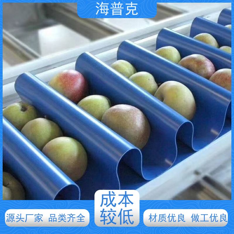 海普克 饼干糖果生产线 支持加工 流水线轻型工业 聚酯尼龙输送带