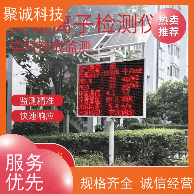 负氧离子检测仪 空气负 氧离子测试仪 便携式环境负离子检测仪 TW-FY1