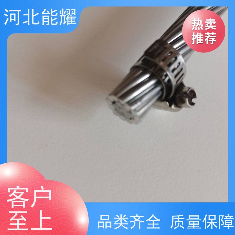  制造工艺简单 防腐钢芯铝绞线 2xLGJQT-50/8 品质保证