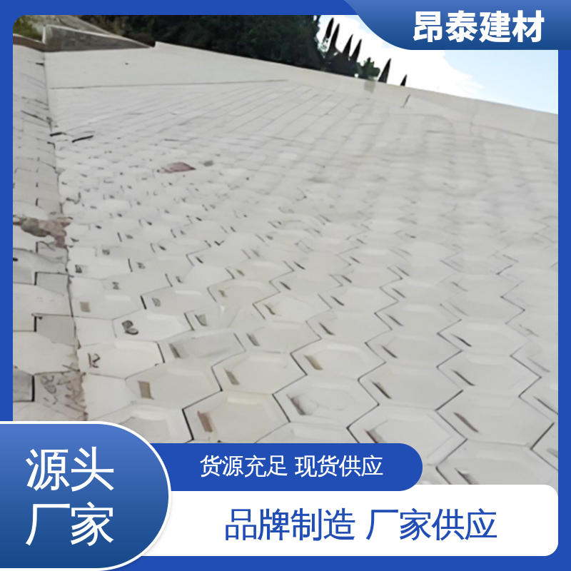 抗剪能力强 坚固牢靠 多年行业经验 六棱护坡砖 多种规格