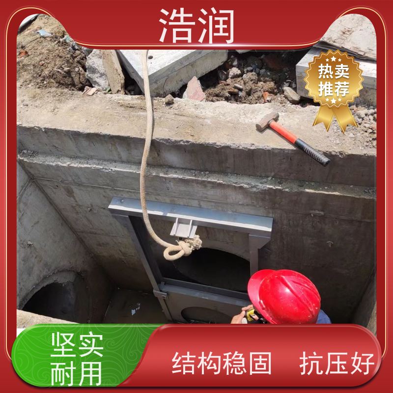 浩润 启闭机限流闸门 运行平稳 做工精细 供货及时