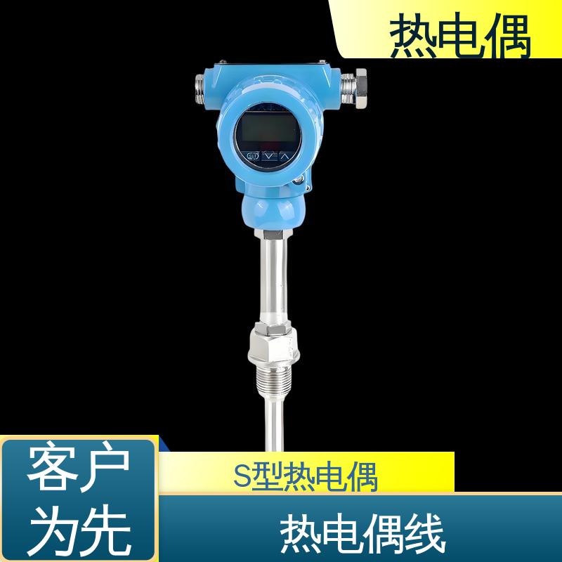天康 WRNG-430 S型热电偶 测量精度高 源头厂家 来图定制