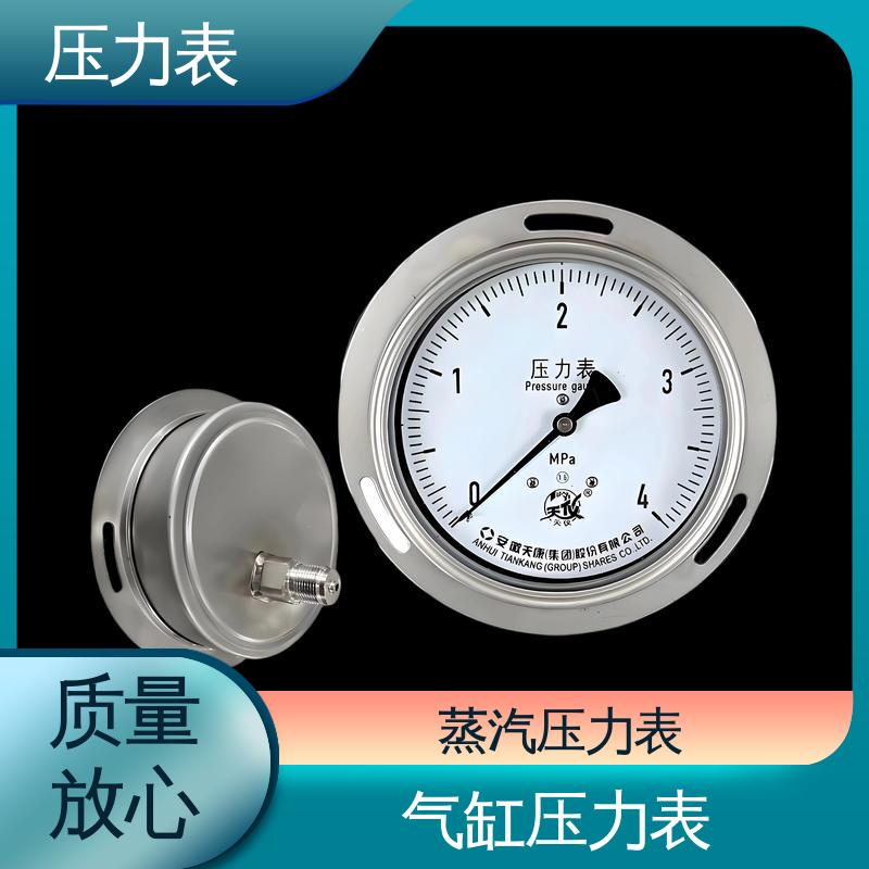 天康 YPF 系列 电子压力表 精度适中 兼容性好 实力厂家 支持定制