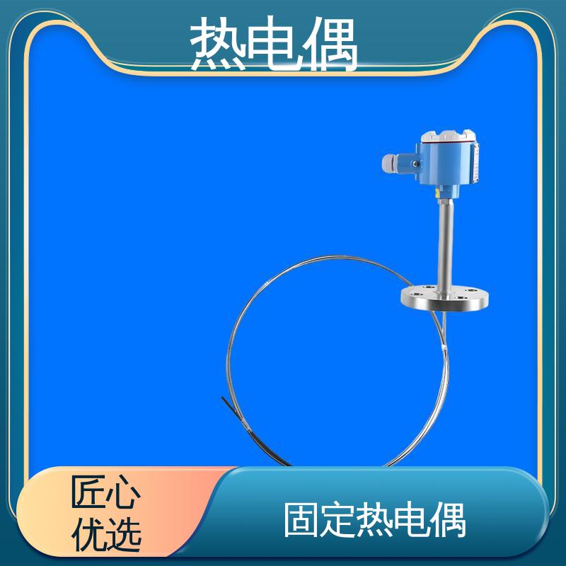 天康 WRNK2-391 T型热电偶 响应速度快 实力厂家 支持定制