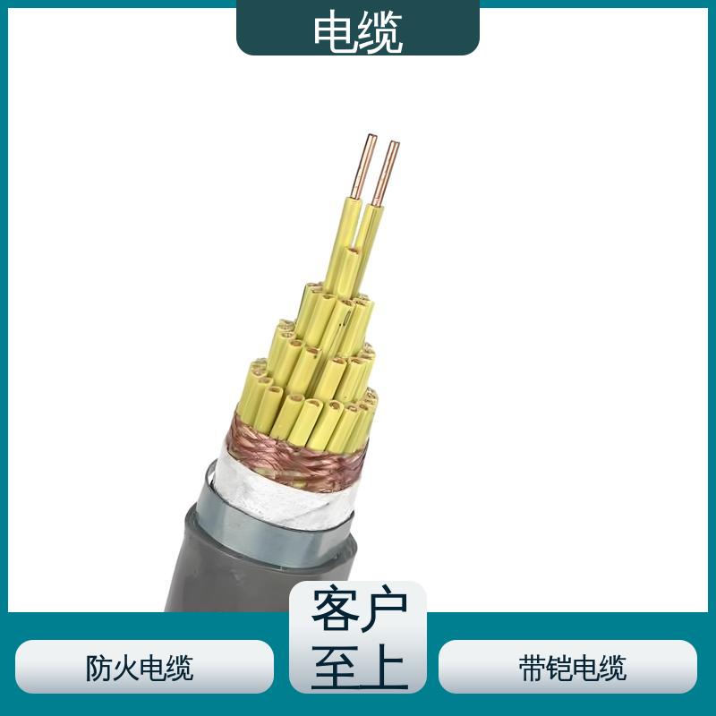 天康 YGCP 矿物质电缆 满足不同领域需求 实力工厂 支持定制