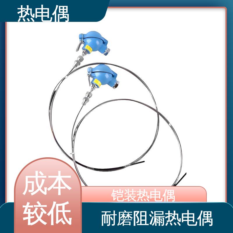 天康 WRNK-391 热电偶型号 成本相对较低 实力厂家 支持定制