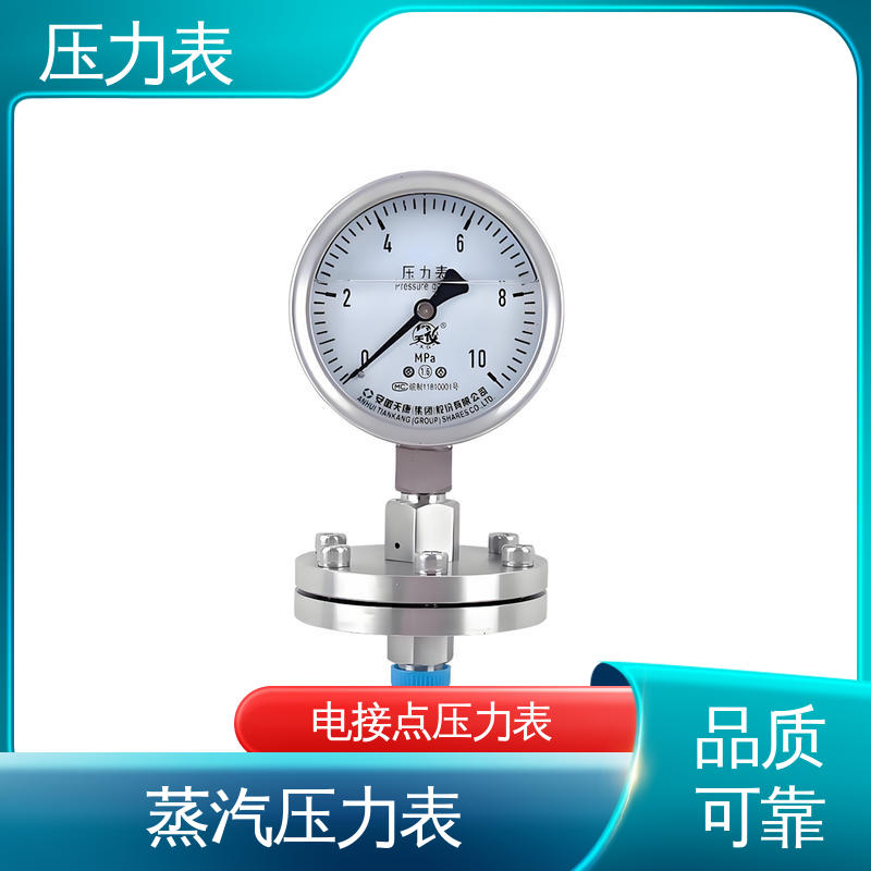 天康 YPF 系列 数字压力表 功能扩展性 实力厂家 支持定制