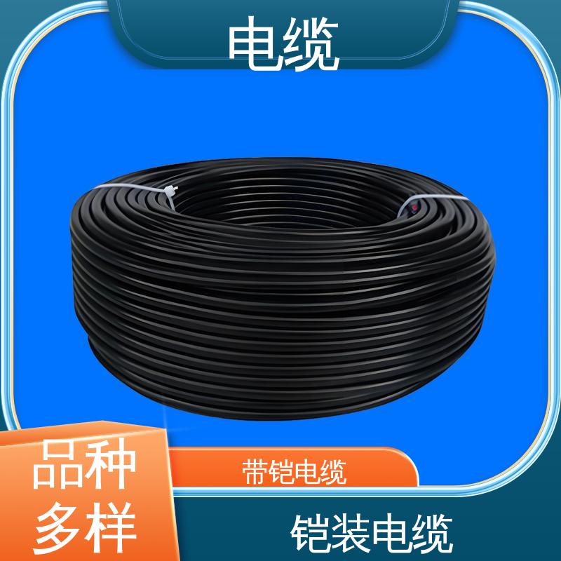 天康 YGC22 铠装电缆 良好的服务体系 实力工厂 支持定制