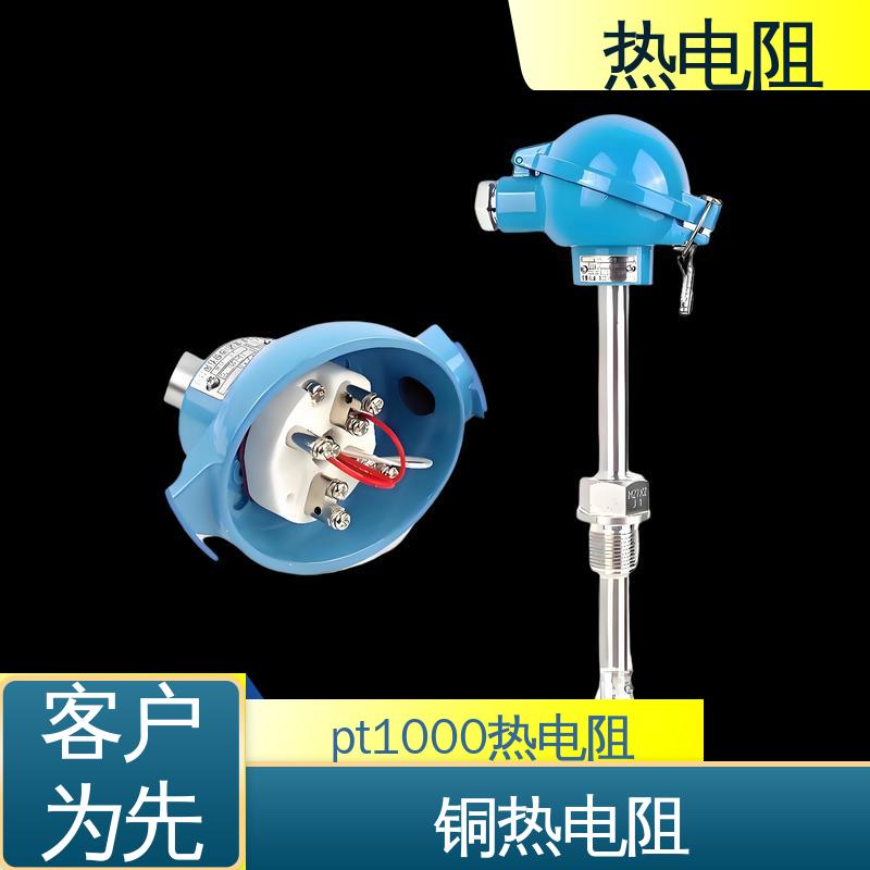 天康 WZP-131 铠装热电阻 输出信号大 实力厂家 支持定制