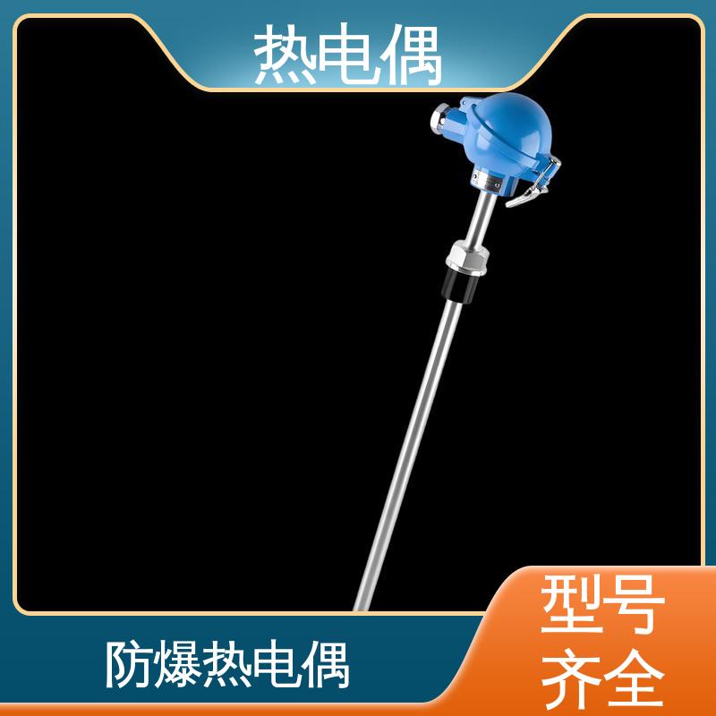 天康 WRNG-430 陶瓷热电偶 成本相对较低 实力厂家 支持定制