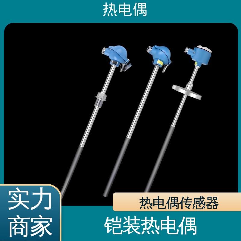 天康 WRNK2-391 陶瓷热电偶 测温范围宽 源头厂家 来图定制