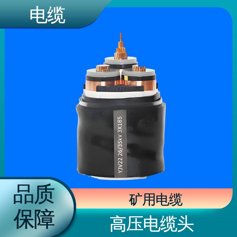 天康 YGCP 分支电缆 多样化的产品线 实力工厂 支持定制