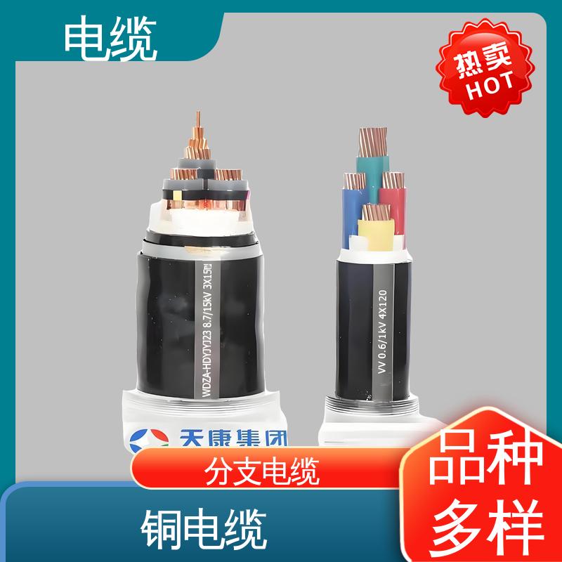 天康 YGCR 带铠电缆 卓越的产品质量 实力工厂 支持定制