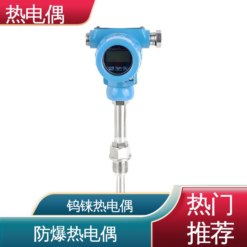 天康 WRNK-391 陶瓷热电偶 适合极端环境 源头厂家 来图定制