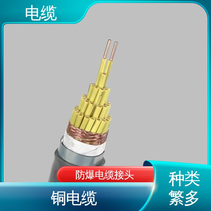 天康 YGC22 矿物质电缆 质量管理严格 实力工厂 支持定制