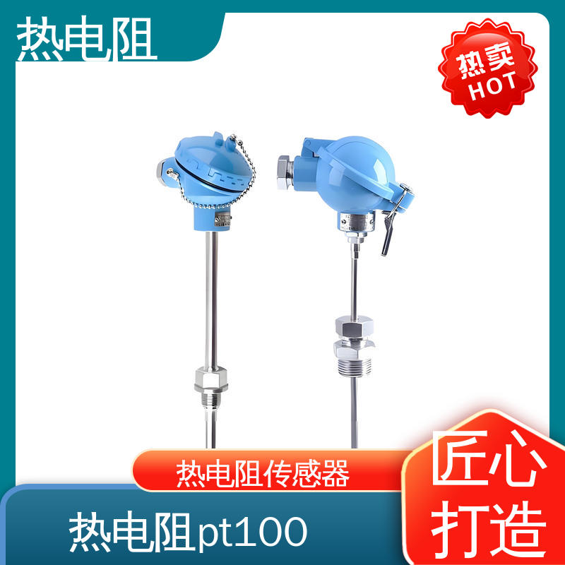 天康 WZP-231 热电阻传感器 响应速度快 实力厂家 支持定制