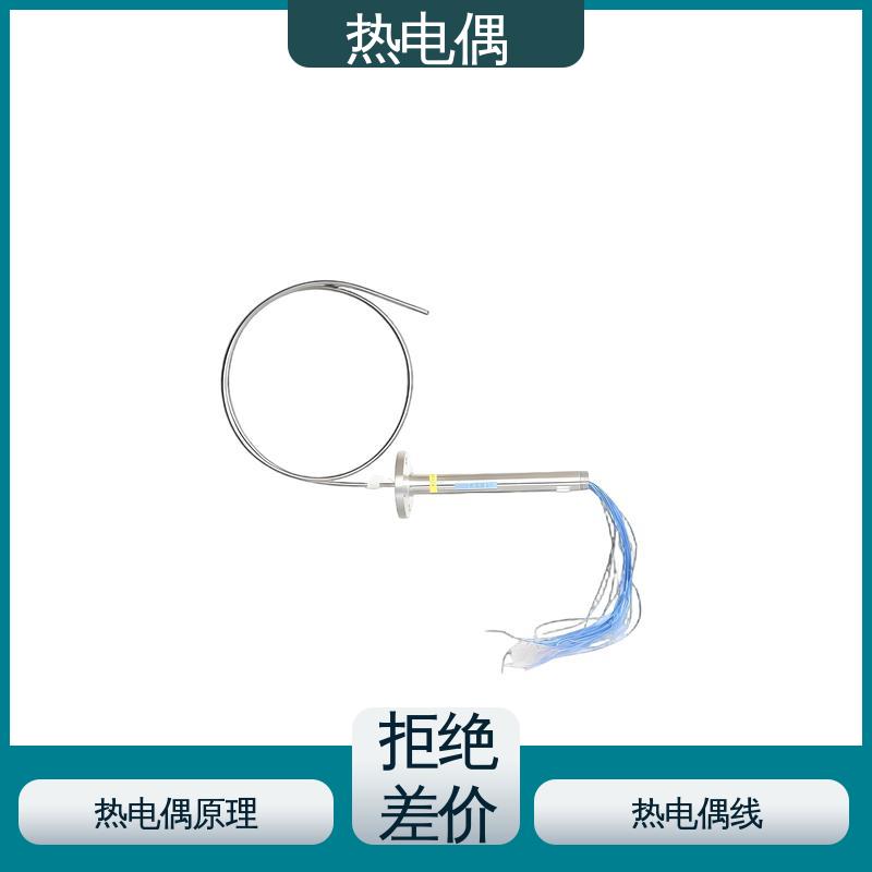 天康 WRNK-391 热电偶温度计 响应速度快 实力厂家 支持定制
