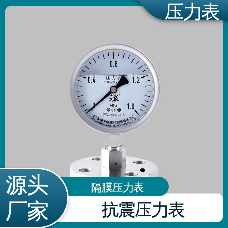 天康 LT系列 蒸汽压力表 经济性佳 类型多样 实力厂家 支持定制