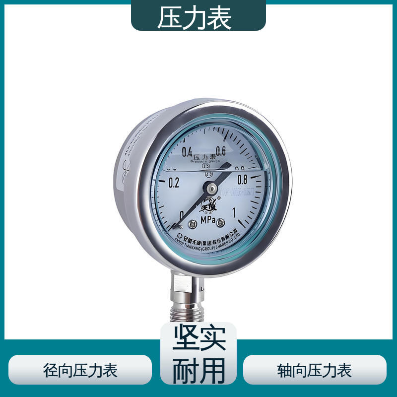天康 LT系列 无线压力表 功能扩展性 实力厂家 支持定制