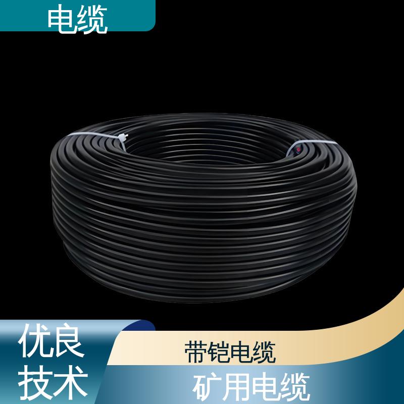 天康 YGCP 铠装电缆 售后服务完善 实力工厂 支持定制
