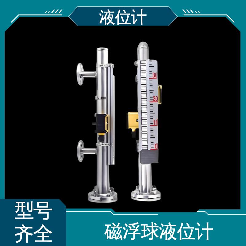 天康 TKWL-1600 单法兰液位计 适应性强 厂家制造 来图定制
