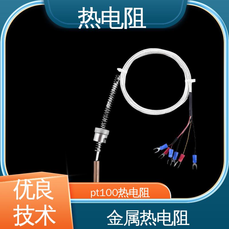 天康 WZC-130 双支热电阻 测量精度高 实力厂家 支持定制