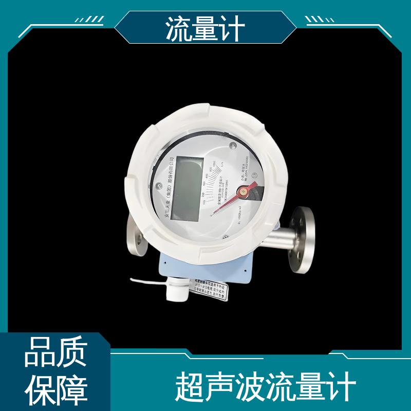 天康 TK1100 燃气流量计 可靠性高 耐腐蚀 规模生产 支持定制
