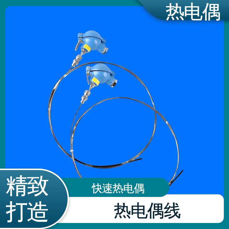 天康 WRNK-391 陶瓷热电偶 体积小 重量轻 实力厂家 支持定制