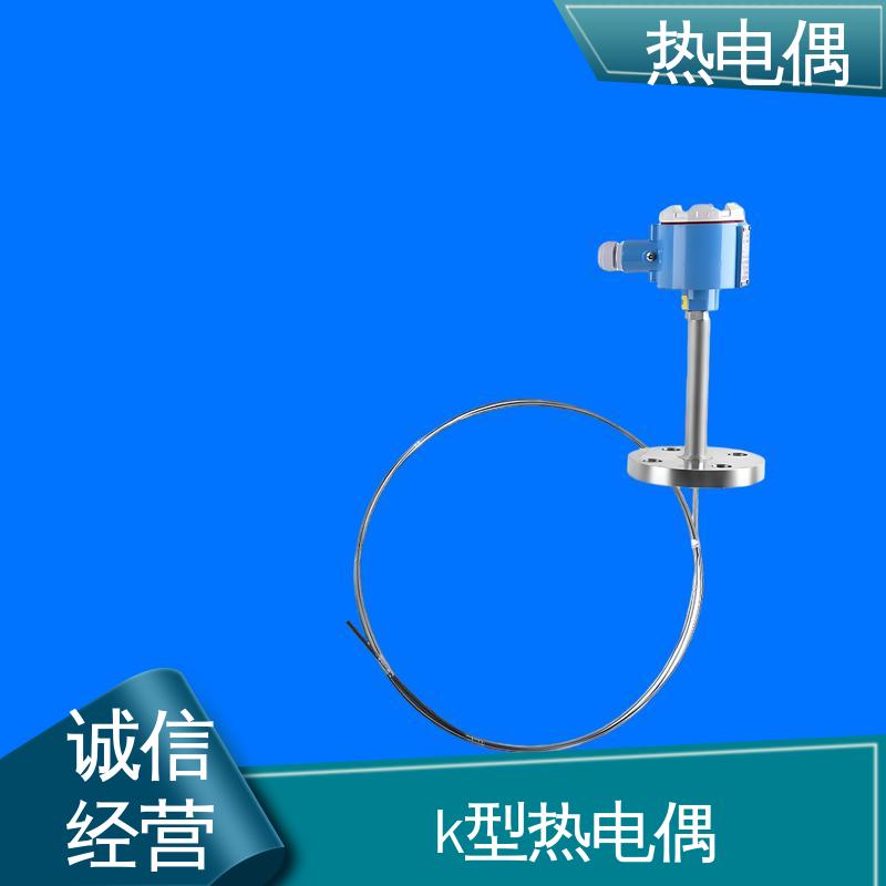 天康 WRNK2-391 装配式热电偶 响应速度快 实力厂家 支持定制
