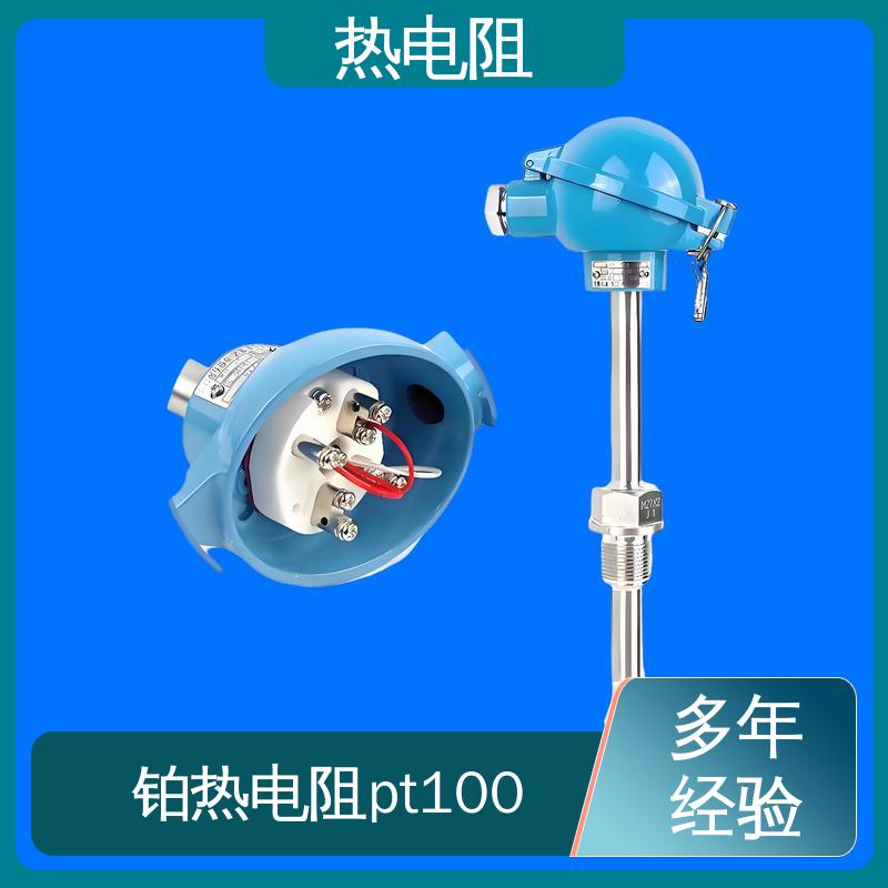 天康 WZC-130 耐磨热电阻 输出信号大 实力厂家 支持定制
